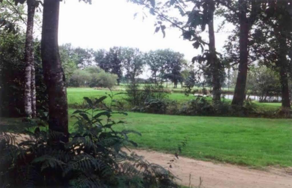 Chateau De Curzay المظهر الخارجي الصورة